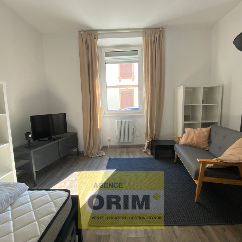 Location Appartement 2 pièces 27m² ST LOUIS 68300 - Photo 1