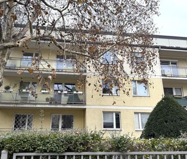 Dommayergasse!!! Klimatisierte DG-Whg ohne Schrägen mit 29m² Terrasse - Foto 6