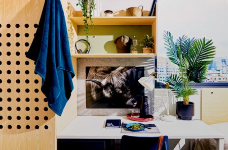 Ultra Twin Apartment-King Single Bed with Standard View - Photo 3