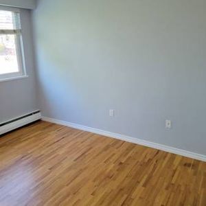 Large Bright Renovated 1 bedroom - Photo 2