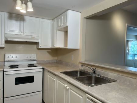 For Lease - 160 Wellington Street Unit# 310, Aurora, Ontario - Photo 5
