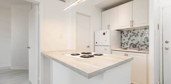 181 GERRARD ST. E. #203 - NEWLY RENOVATED 1BR/1BATH, STEPS TO TTC! - Photo 2