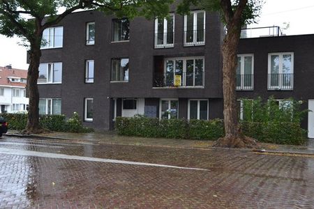 Pieter zeemanstraat - Foto 3