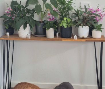 Sunshine West - Photo 4