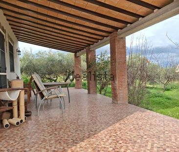 Alquiler de casa o chalet independiente en Camino el Grijo - Photo 2