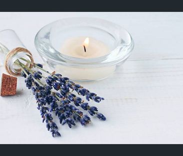 Renovated - Ground level 2 Bedroom Apartment with Off street parkin... - Photo 1