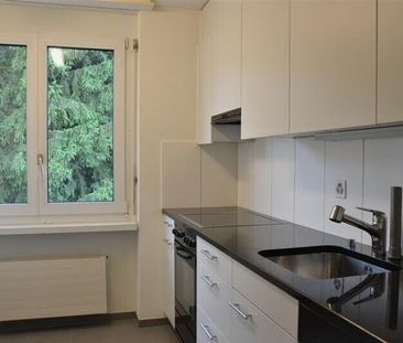 Wir suchen genau Sie - Foto 1