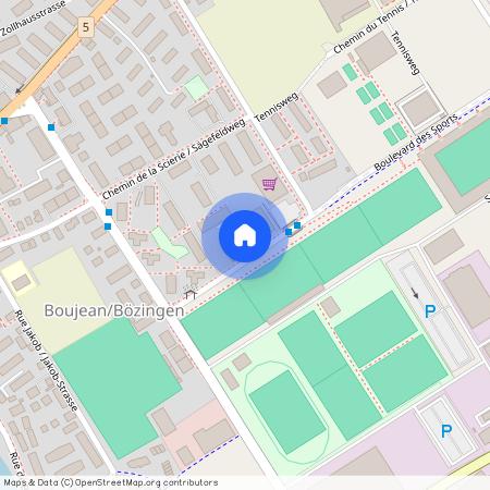 2504, Biel/Bienne, Rue De La Patinoire / Eisfeldstrasse, 15