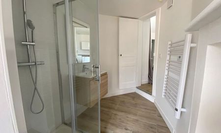 Location Appartement 1 pièce LIMOGES (87000) - Photo 3