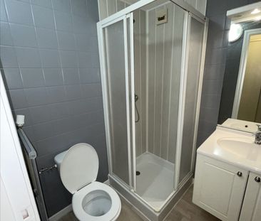 Location Appartement 1 pièce 25m² - Photo 3