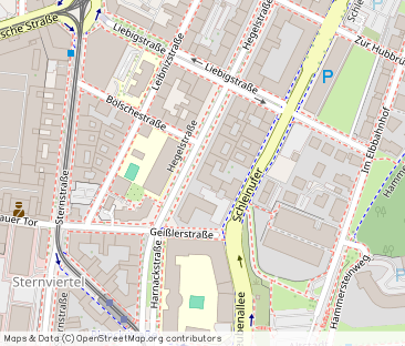 Großzügige Altbauwohnung in der Hegelstraße ! - Photo 1