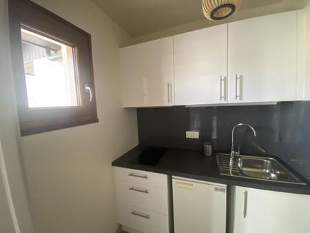 Location Appartement 1 pièce Meublé 28m² ANNECY LE VIEUX 74940 - Photo 4