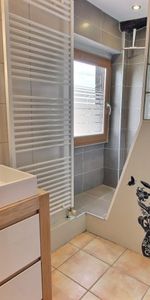 MONTFERRAND- APPT T2 AVEC MEZZANINE - Photo 3