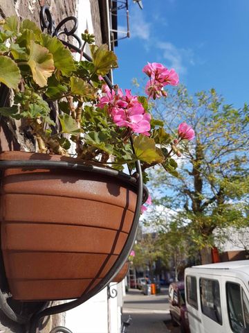 IDEAAL VOOR CO-HOUSING - Foto 3