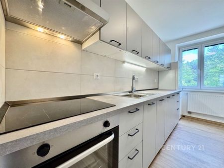 Pronájem bytu 2+1 68 m², Viniční 2977, Brno - Photo 3