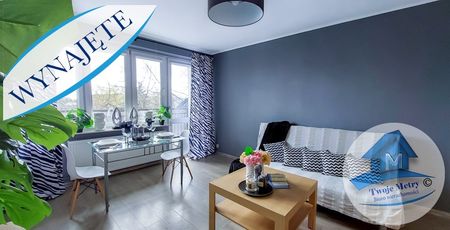 Włocławek Mieszkanie na wynajem - Zdjęcie 3