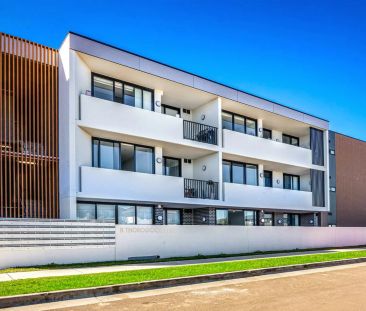 203/8 Thorogood Boulevard, - Photo 3