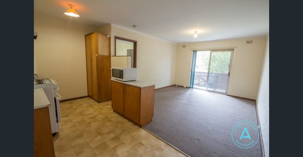 APARTMENT FOR RENT IN MOSMAN PARK - Photo 1