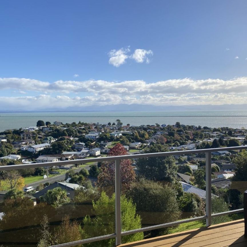 Near New & Great Views - Photo 1