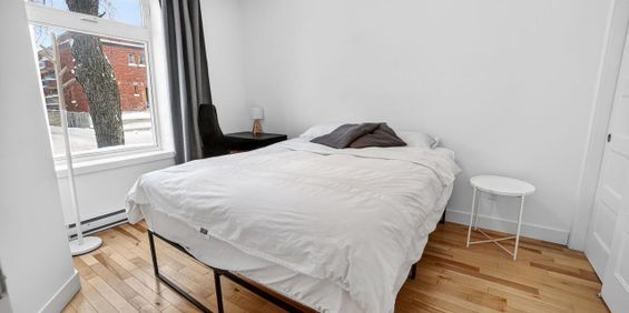 Appartement Montréal (Rosemont/La Petite-Patrie) � Louer - Photo 3