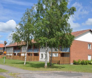 Slingvägen, Tidan - Foto 3