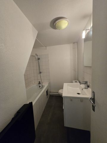 Location Appartement 1 pièce 23m² NANCY 54000 - Photo 3