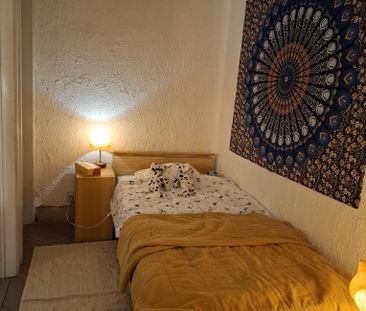 kot - Foto 2