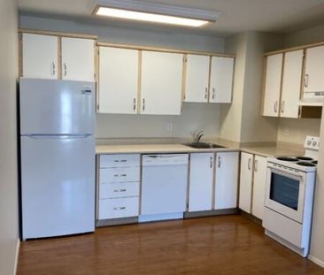 WINDSOR 1 BEDROOM * 1 Month Free! - Photo 1