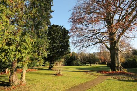 2 bedroom house to rent - Photo 2