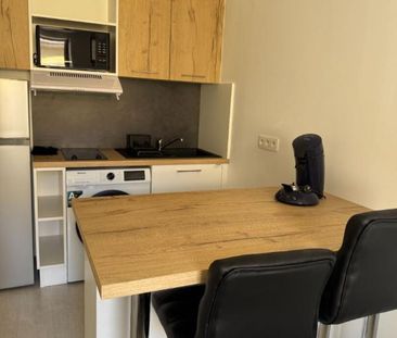 Location Appartement 1 pièce Meublé 21m² ROANNE 42300 - Photo 6