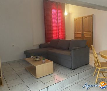 Location Appartement 1 pièce 33m² LE BARCARES 66420 - Photo 3