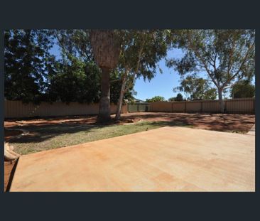 Modern 3x1 with a HUGE Yard! - Photo 6