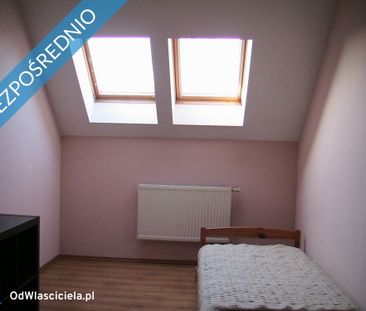 Piaseczyński, Józefosław, Jaskółki - Photo 6