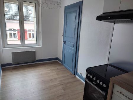 Location Appartement 1 pièce 30m² ALTKIRCH 68130 - Photo 3