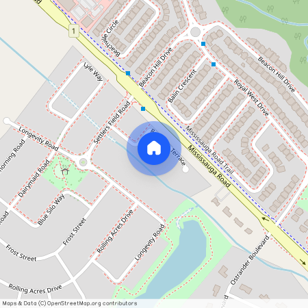 19 Raindrop Terrace, Brampton