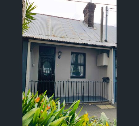 31 Buckland Street, Alexandria, NSW 2015 - Photo 4