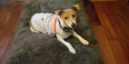 Keysborough - Photo 4