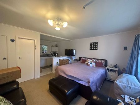 AFFORDABLE STUDIO - EPSOM - Photo 5