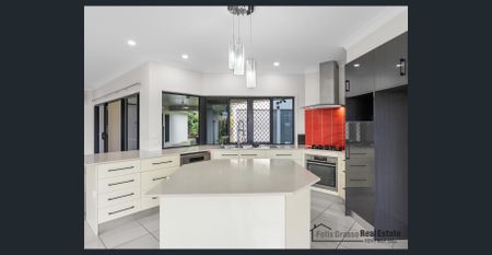 Stylish Elevated Home with double bay Shed - Photo 4