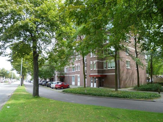 Te huur: Appartement Sint Annalaan in Maastricht - Photo 1