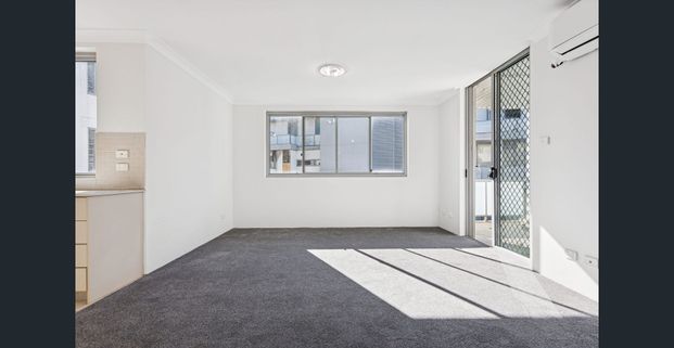 SPACIOUS ONE BEDROOM APARTMENT - Photo 1