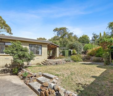 Elevated Family Home - Photo 3