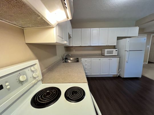For Lease - 209 Dunsmore Lane Unit# Lower, Barrie, Ontario - Photo 1