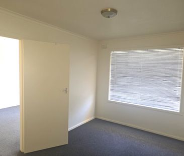 Tree Lined Street - Photo 2