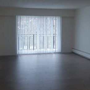 2 Bedroom Apt Commercial Dr - Photo 1