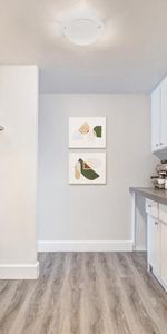 Appartement 4 ½ à louer Montcalm / Saint-Sacrement janvier 2026 - Photo 3