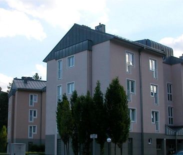 REICHENAU IX - Photo 6