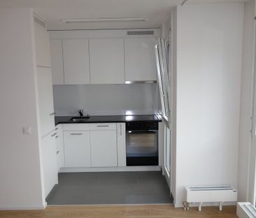 Wohnung mitten im Zürcher (Nacht-) Leben - Foto 3