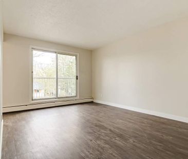 2 Bedroom - Photo 4
