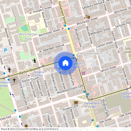 225 CARLTON Street, Toronto